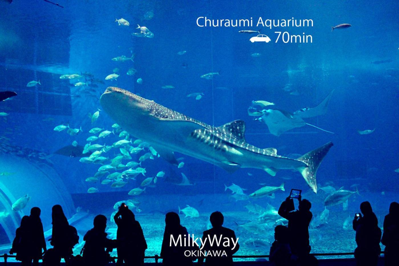 Willa Okinawa Milky Way Yomitan Zewnętrze zdjęcie